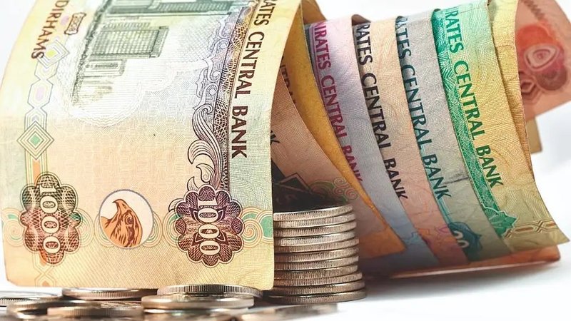 شرکت‌های بخش خصوصی امارات، باید حقوق کارکنان را تا روز اول هر ماه پرداخت کنند: تأخیر در پرداخت حقوق مجازات در پی خواهد داشت!