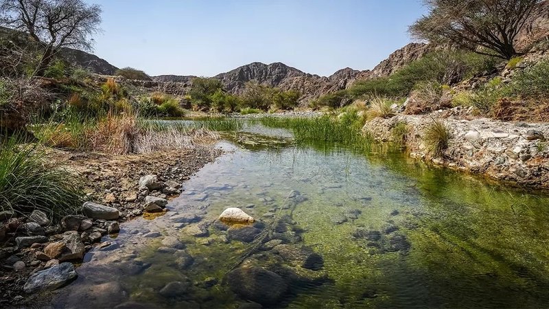 وادی وریعه؛ نخستین میراث طبیعی امارات در فهرست جهانی یونسکو