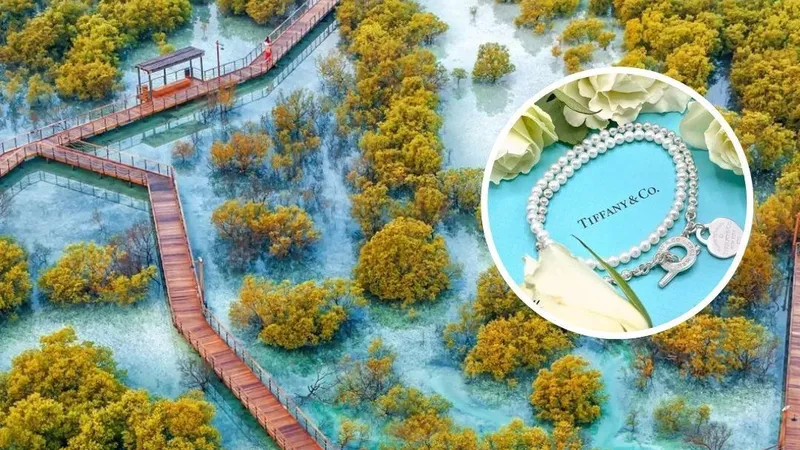 کاشت ۱۸۳۷ اصله نهال حرا در ابوظبی توسط برند مشهور جواهرسازی تیفانی!