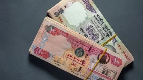 ساکن امارات ۱۰۰ هزار درهم گمشده‌اش را با کمک پلیس دبی و یک شهروند درستکار پس گرفت