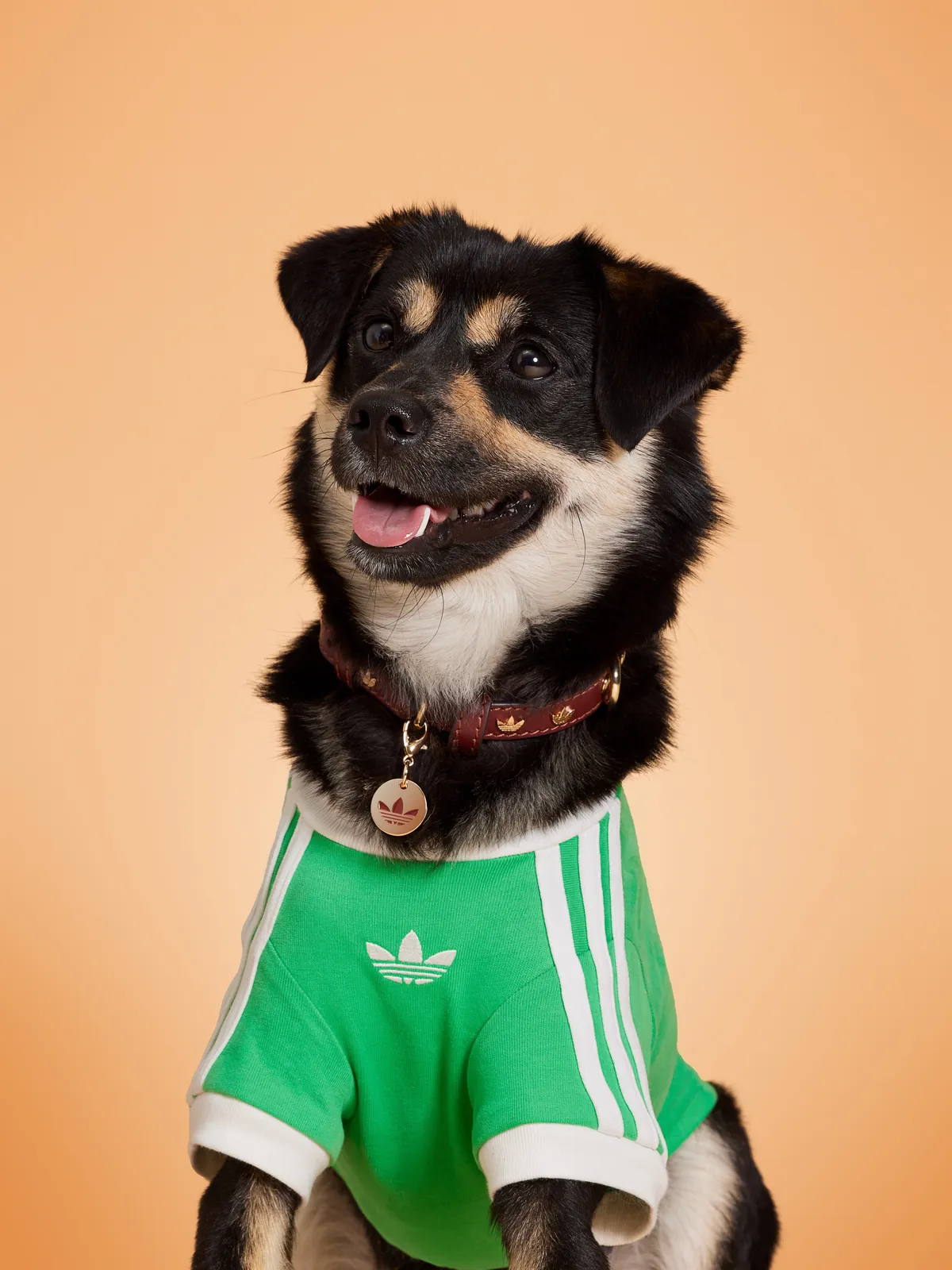 adidasuae__2026-08-03T145947.000Z
