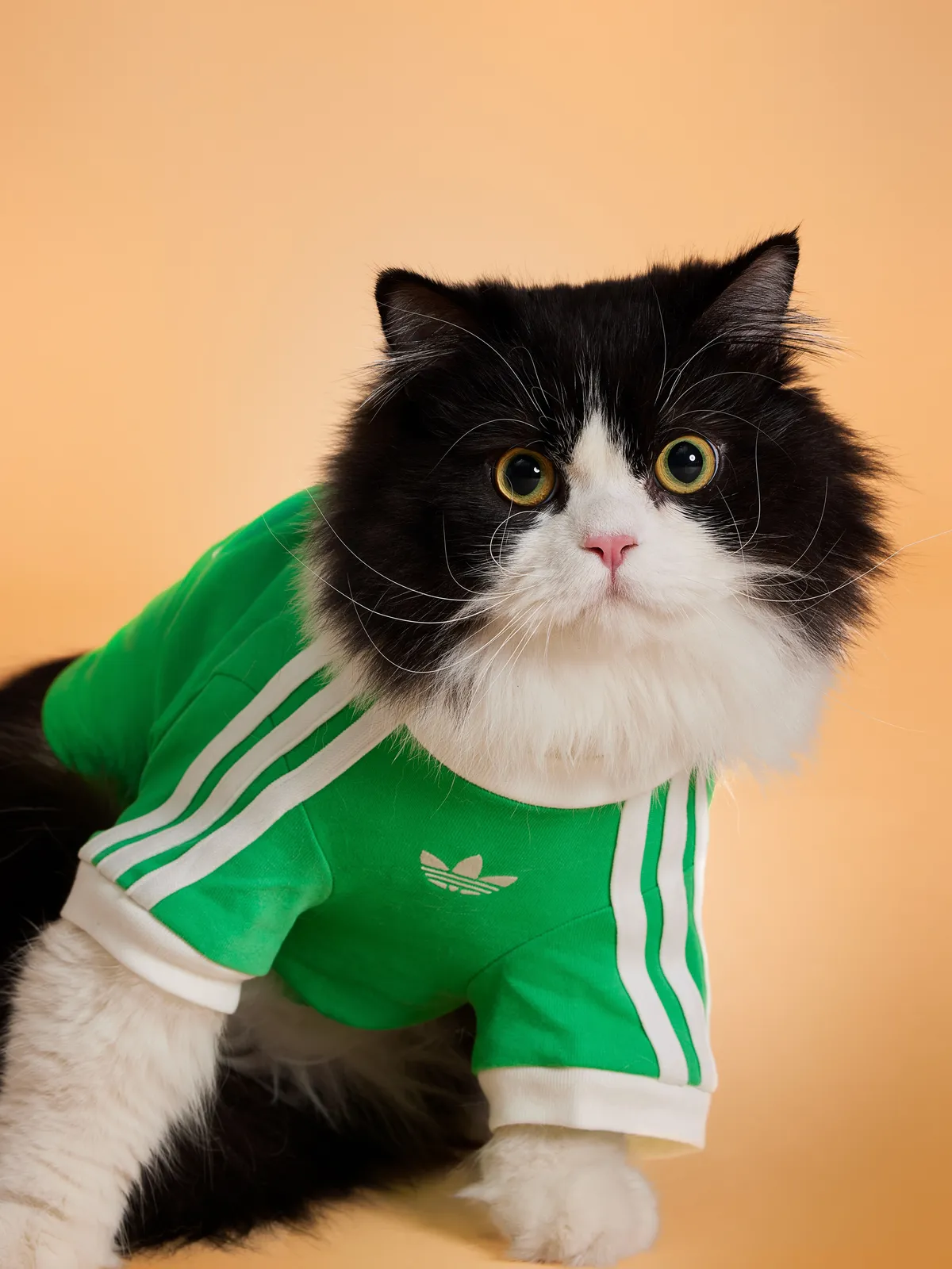 adidasuae__2026-08-03T145947.000Z_3