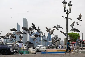 اخبار بیست و پنجمین روز جنگ
