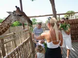 Sharjah Safari to reopen on September 21; tickets from Dh15