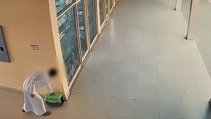 شهرداری شارجه درباره رها کردن حیوانات خانگی هشدار داد