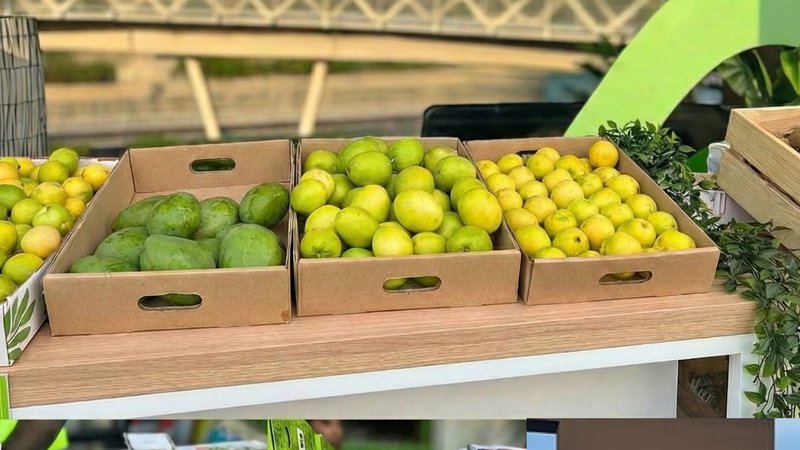 فستیوال کشاورزی حتا ۲۰۲۶: عرضه ۷ محصول کمیاب توسط کشاورزان اماراتی