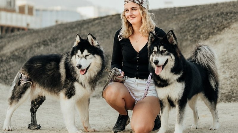 دبی چگونه برای یک مهاجر ۲۳ ساله سوئیسی و هفت سگش به خانه تبدیل شد