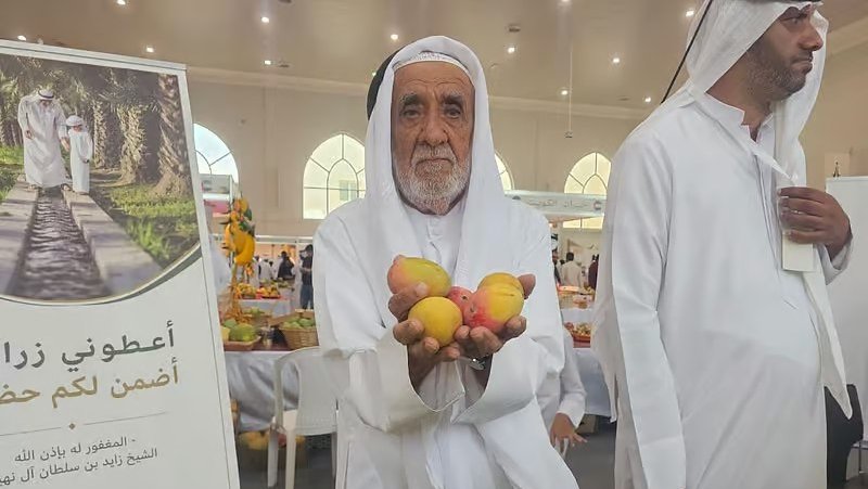 From a lifelong passion for mangoes to half a century of farming, an 82-year-old Emirati farmer harvests up to 12,000 kilograms of mangoes annually.